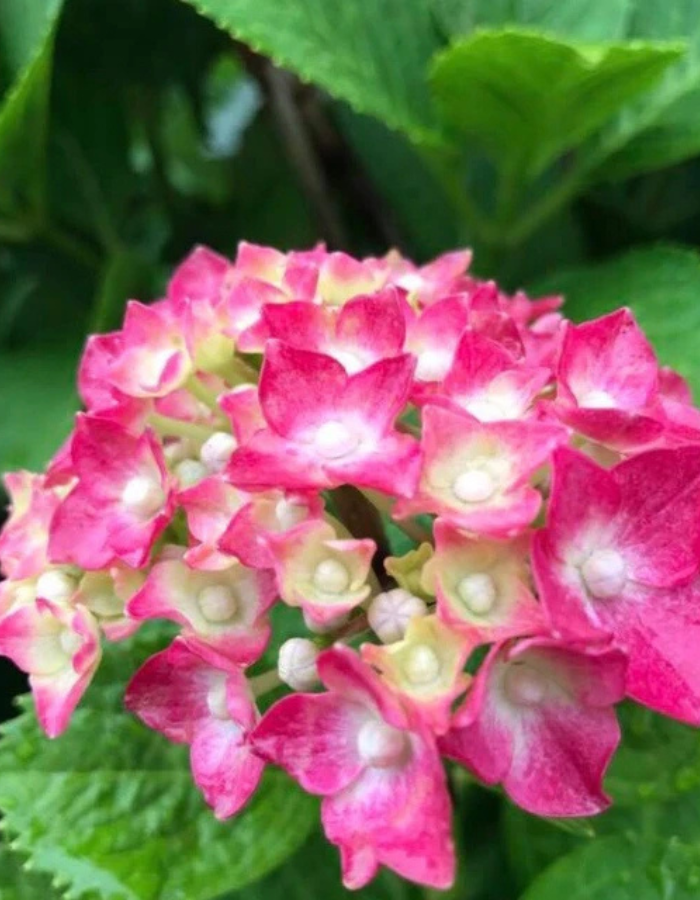 アクセスバーズ熊本,アクセスバーズ,アクセスバーズおすすめ,